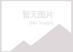 岐山县听枫会计有限公司